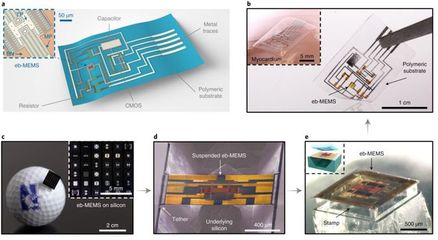 清华校友突破MEMS融合瞬态电子技术 高集成度可降解芯片从概念照进现实